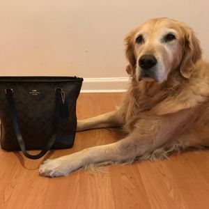 Meet your Posher, Jill